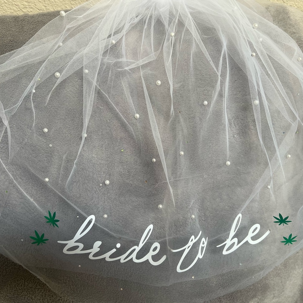White Bride to Be Veil with Pearls